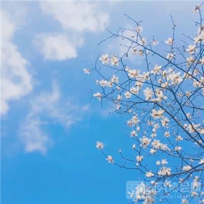 仙剑奇侠传3d私服下载