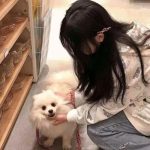 修仙萌主小米账号下载